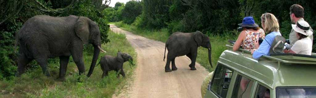 Safaris in Uganda