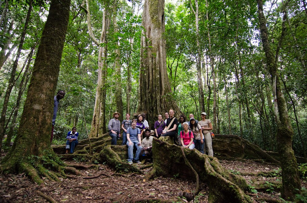 Kakamega Forest National Reserve