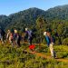 New Trails in Bwindi: Expanded Trekking Routes and What to Expect in 2025